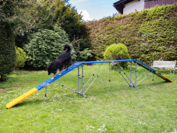Agility Professional Bridge (4 parts)